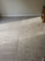 Close-up view of the texture of a light beige carpet
