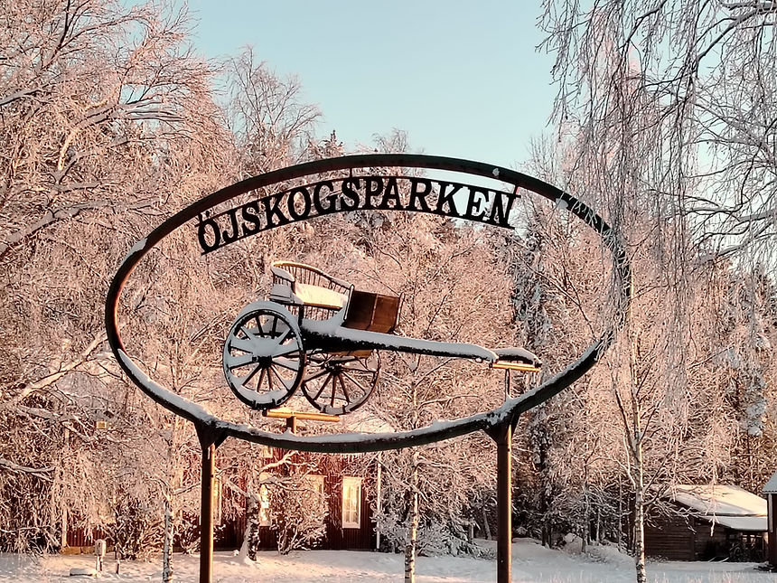 WhatsApp Image 2025-11-22 at 21.40.29.jpeg