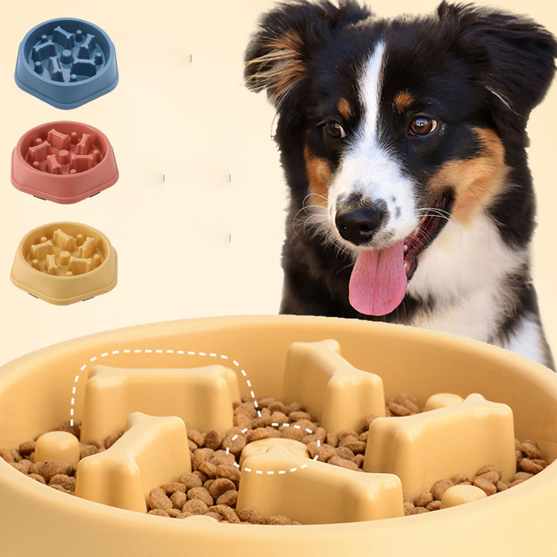 Bone Slow Bowl