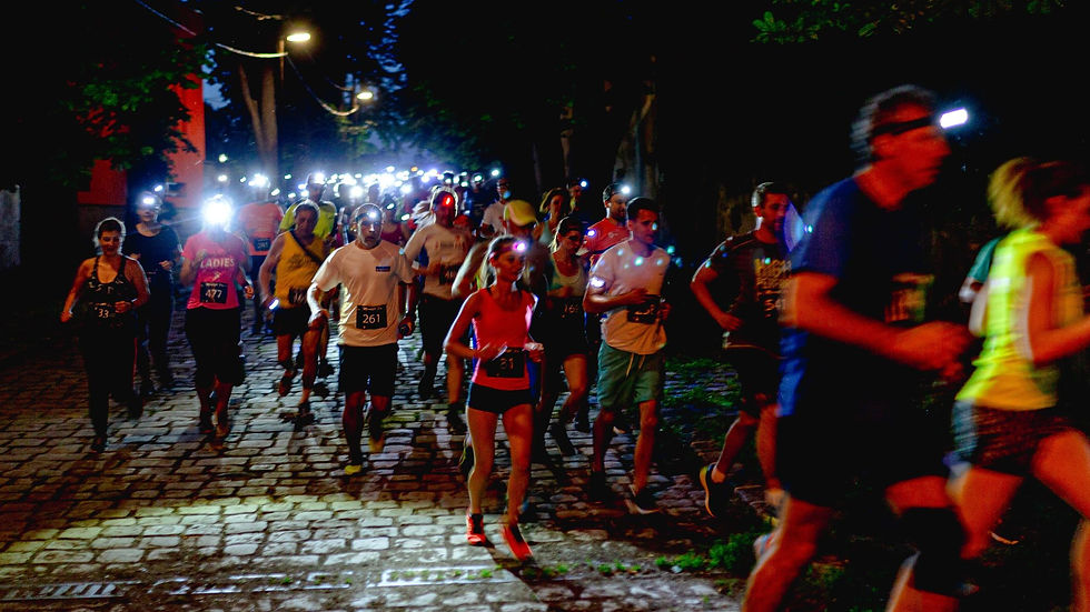 Moonlight Run Rajt.jpg
