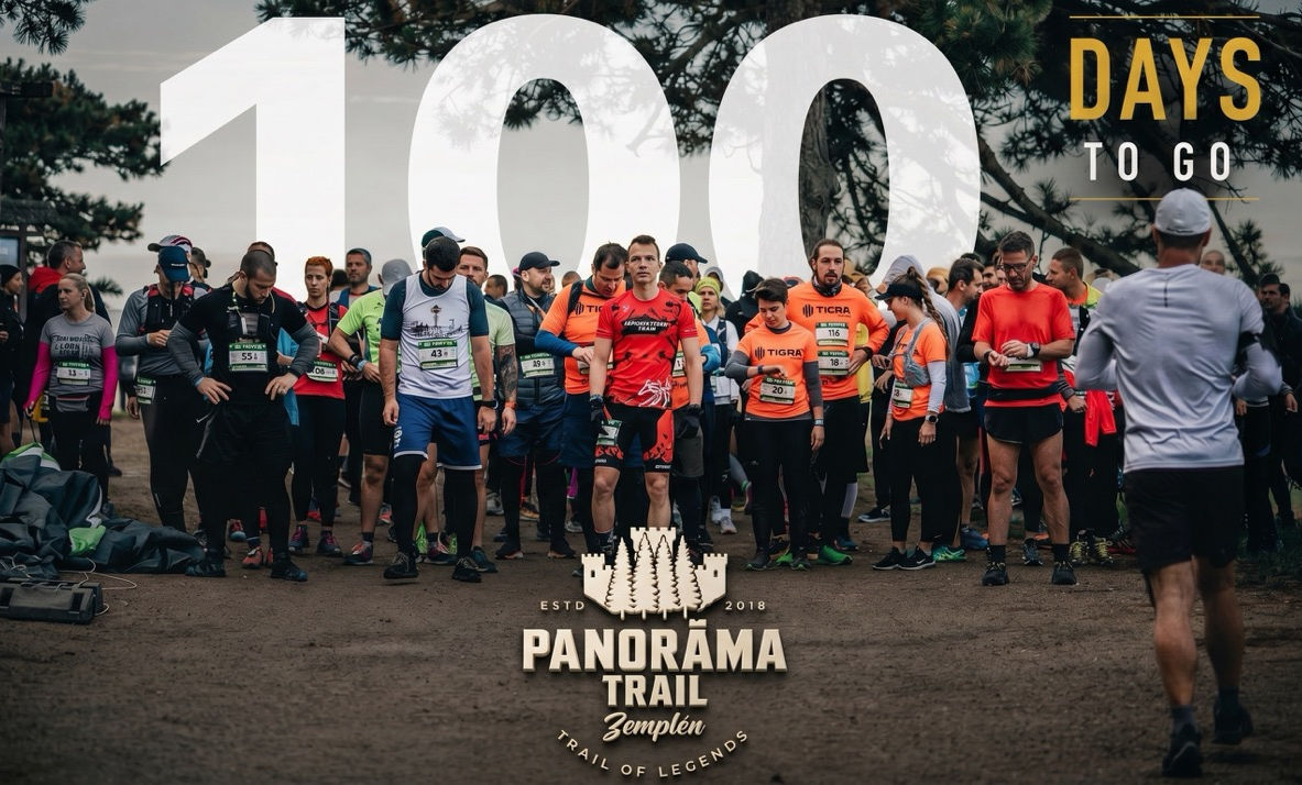 100 daystogo Large.jpeg