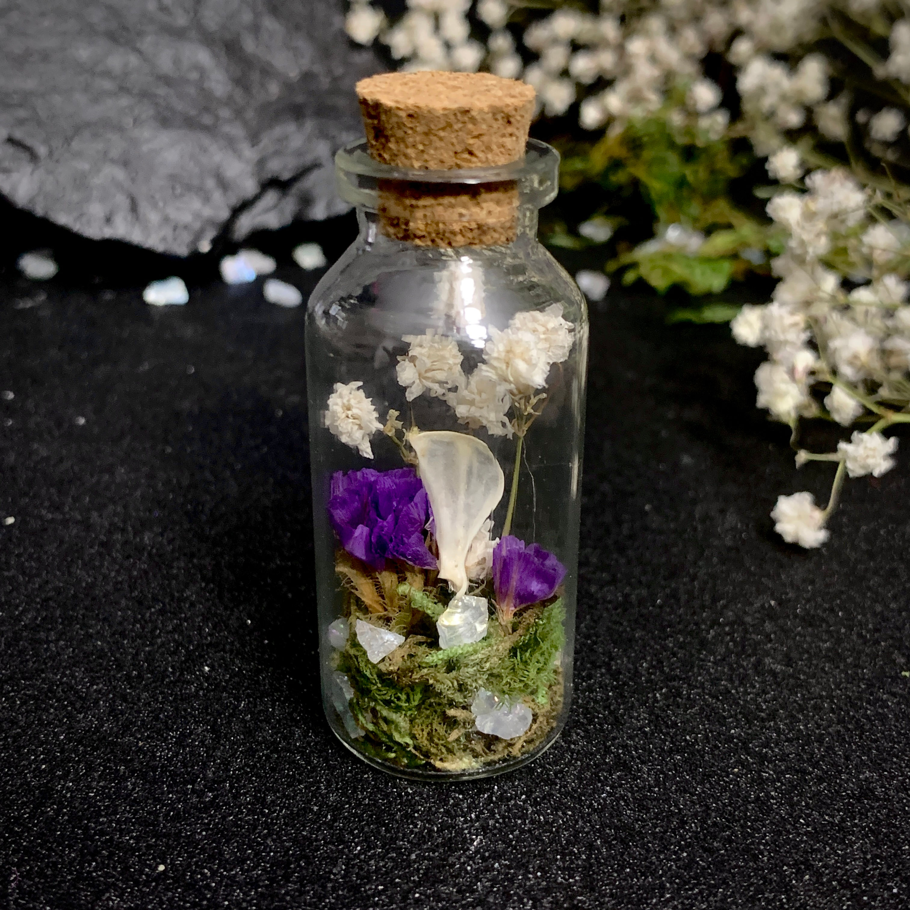 Tiny Bone Botanical Bottle - Scapula