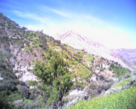 2681879828_1.jpg