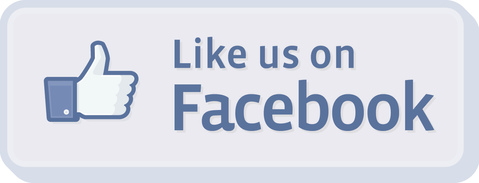 Euro-Art nu ook op Facebook