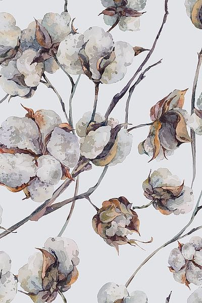 IN99098 Incado Cotton II Resizable, in stock