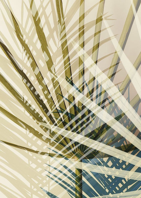 W1175D Exsposure 8.jpg