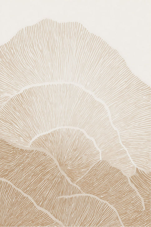 This elegant piece is a modern minimalist art print of Euro-Art Belgie. The design features flowing, organic lines in a warm beige palette.