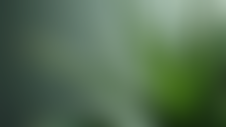 Produtos de Aloe Vera para Beleza e Cuidados Pessoais