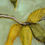 Thumbnail: A Magnolia's Song - Limited Edition Giclee