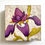 Thumbnail: Iris Study #3 - 5"x5" Original Mixed Media Painting