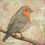 Thumbnail: Robin Study 2 - Original Mixed Media Painting - 5"x5"