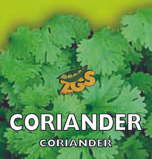 CORIANDER