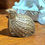 Thumbnail: Vintage Brass Quail Partridge Bird Figurine