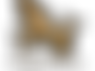 Capricorn