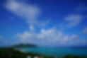 DSC09472.JPG