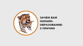 Зачем Вам онлайн-образование? ПЯТЬ ПРИЧИН