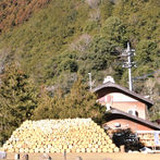 飯能低山めぐり イモリ山~子ノ権現