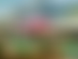 J.bird Provisions | Freshly made grab & go, specialty grocery, and gifts.