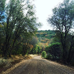 Mt Konocti County Park