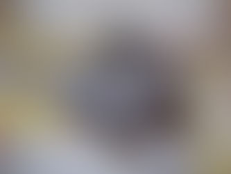 BOMBA INJETORA SPORTAGE-KIA-2.0-R$ 1.800,(11)3522 5833