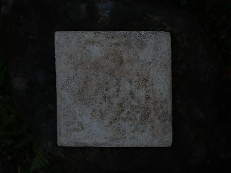 image0.jpeg