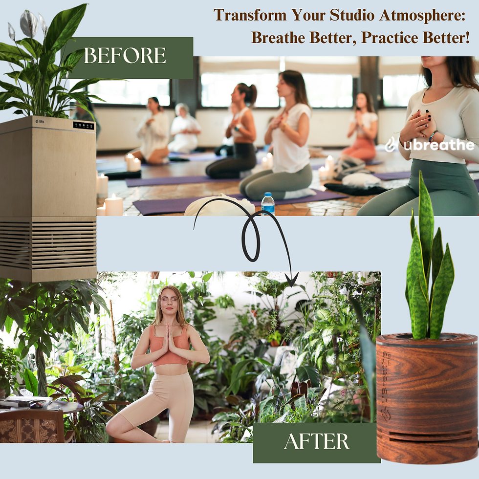 Split Image of Stuffy Indoor Space vs. Airy Yoga Studio