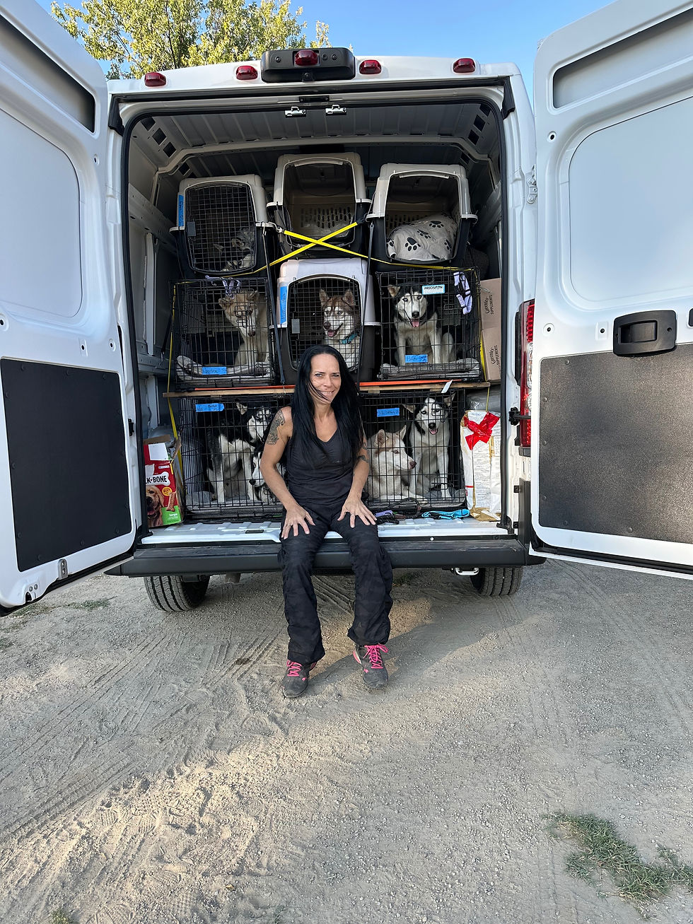 transport van of huskies