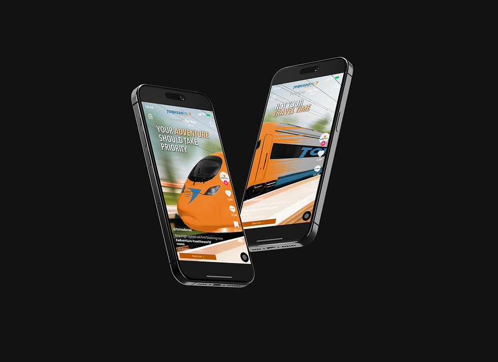 Castellanos_Hillary_TornadoRail_TikTokAd_PhoneMockup.png