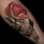 Skeleton Hand with Rose