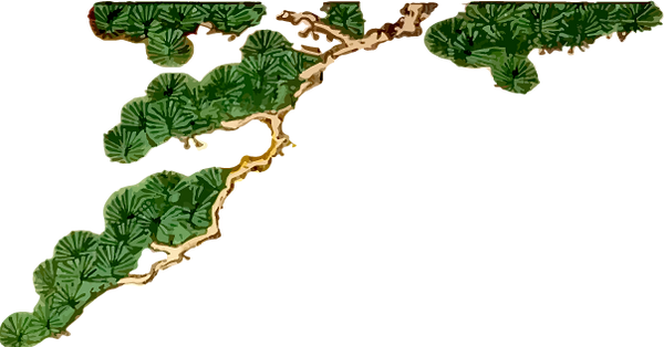 4718240-62_edited.png