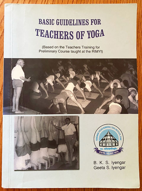 アイアンガーヨガ　GEETA IYENGAR アイアンガーヨガ GEETA IYENGAR 健康・医学