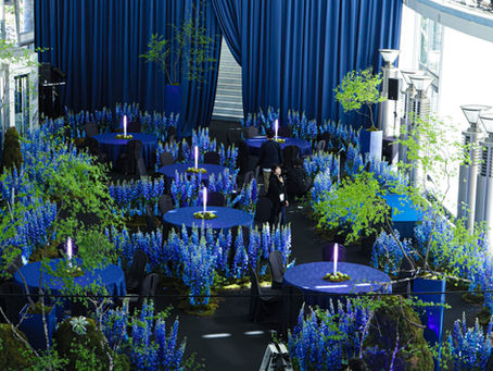 ASEANTA party decoration × Hikaru Seino