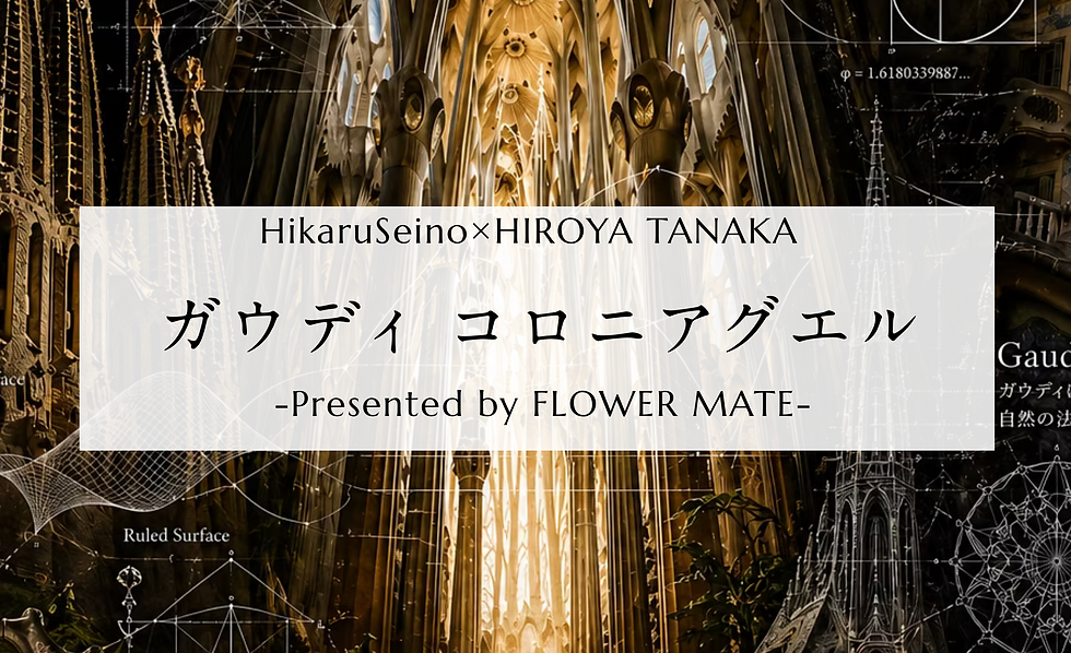 HikaruSeino×TanakaHiroya 対談「コロニアグエル」