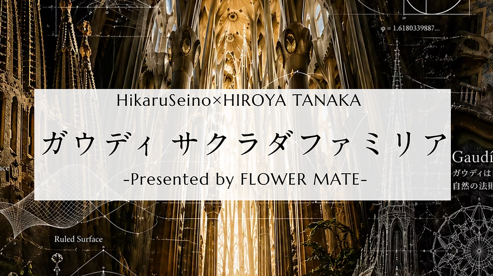 HikaruSeino×TanakaHiroya 対談「サクラダファミリア」
