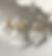 1 image 4.jpeg
