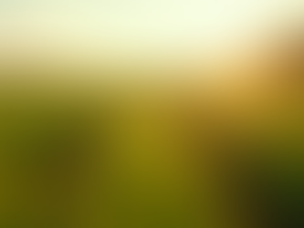Your Guide to Agricultural Technology Consulting Pricing Plans