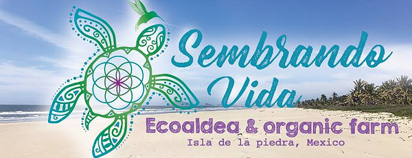 Sembrando Vida, Ecoaldea and organic farm, Isla de la Piedra, Mexico