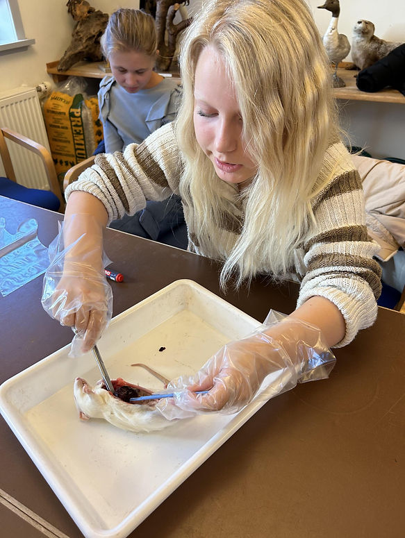 Sjette klasse på AQUA.jpeg