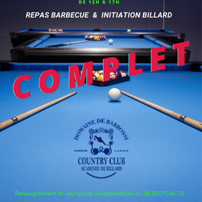 Barbecue & initiation billard
