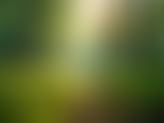 Naikan: olhar para dentro e reconhecer o que nos sustenta