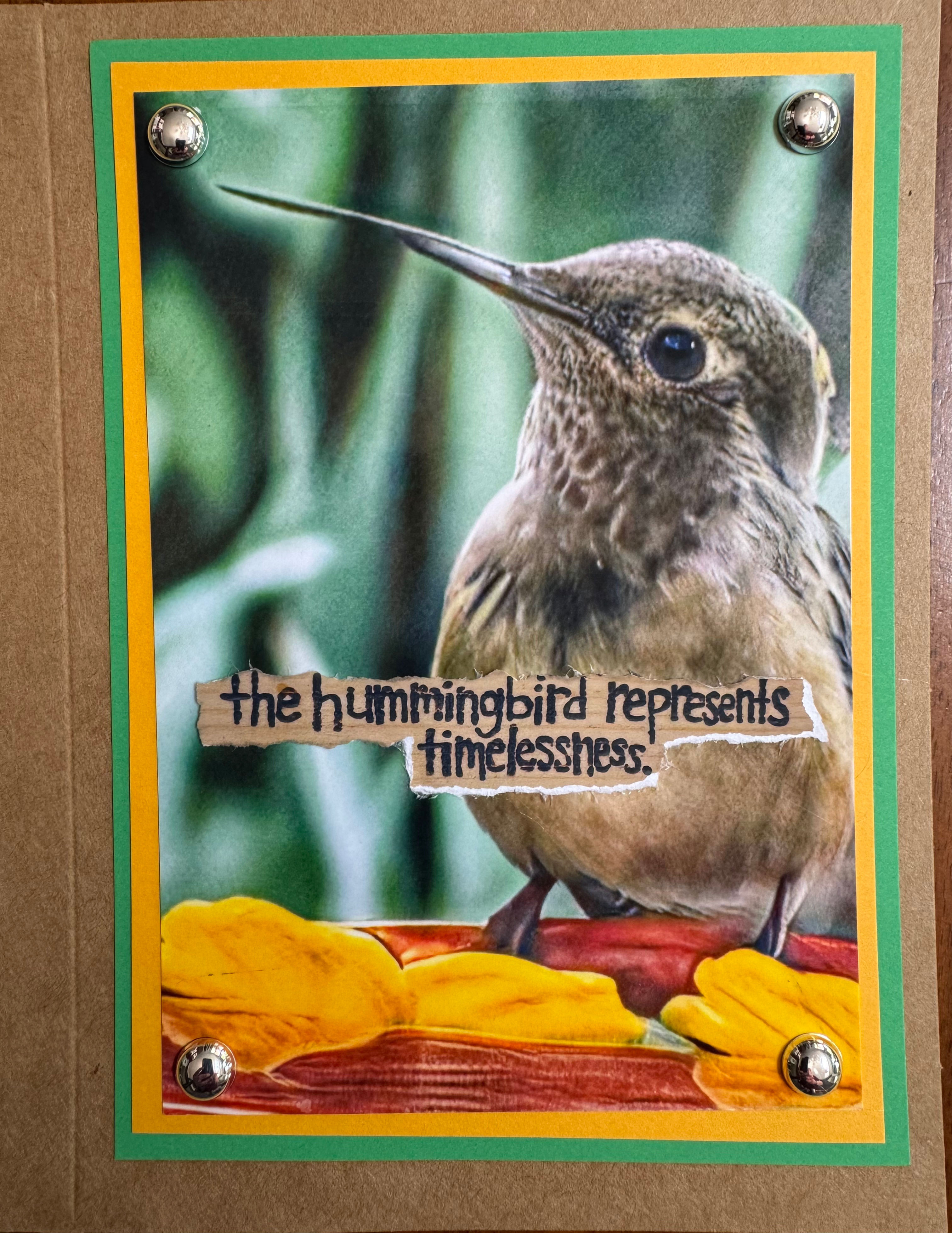 Hummingbird Timelessness