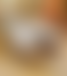  Le fondant / moelleux au chocolat