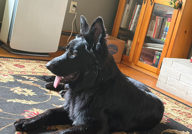 Odin