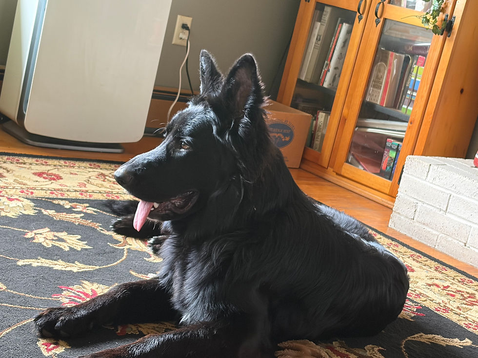 Odin