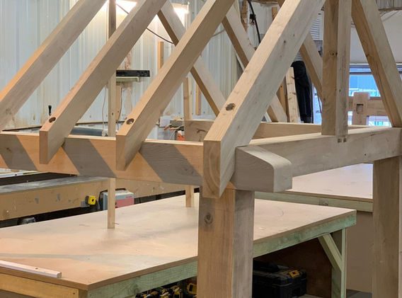 WhatsApp Image 2019-01-31 at 14.43.32.jpeg