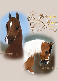 Emily's Arabian Horse Adventures Blanket no bkgnd copy.png