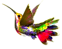 Hummingbird masked_edited.png