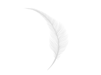 feather.png