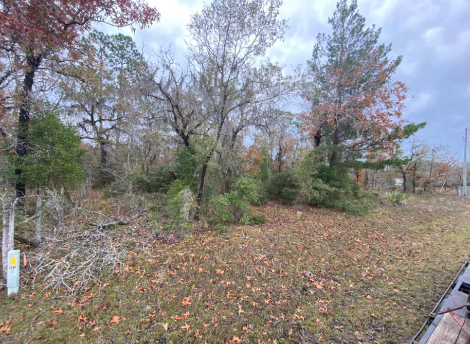 County Line Land Clearing services North Florida for land clearing, stump grinding, site prep, tree removal and more. 