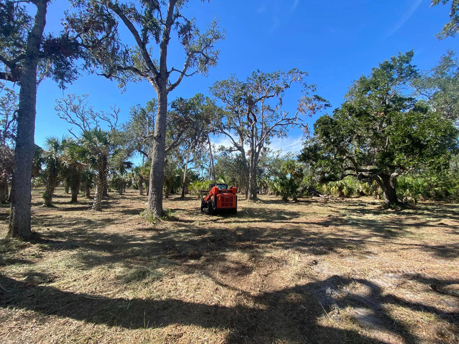 County Line Land Clearing services North Florida for land clearing, stump grinding, site prep, tree removal and more. 